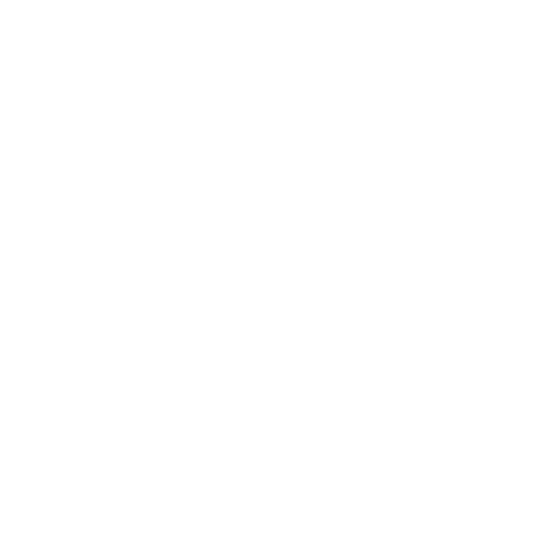 Ctber-security icon